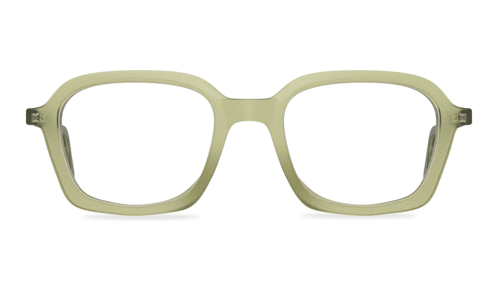 003 Olivo